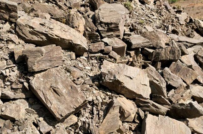 ��ĸ���a(ch��n)��