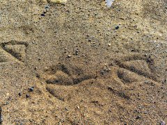 ��ɰ����γɵ����c�C��ɰ�C��ʲô�^�e��