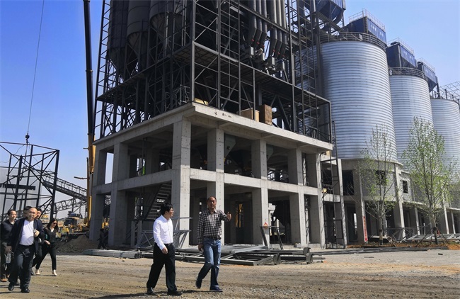 �����{��h���Ŀ