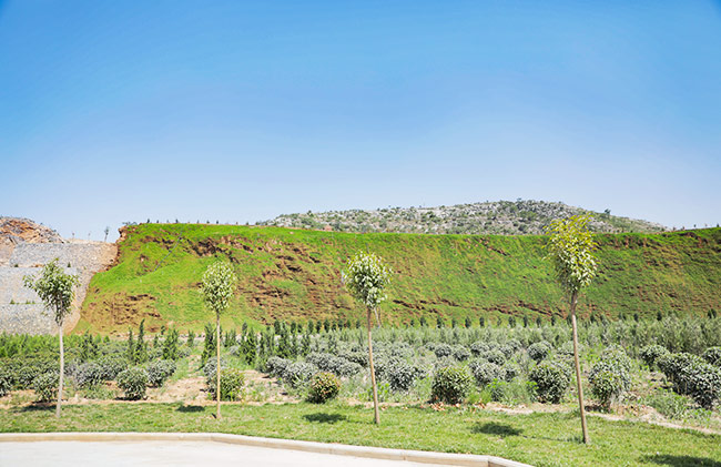 ����ʡ����Ќ�����Vɽ���B�ޏͼ��h��������r